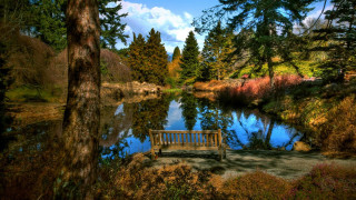 Lake bench autumn forest sunset - beautiful landscape free wallpaper for desktop