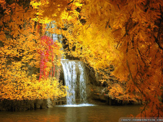 Waterfall trees yellow leaves red - asher brown durand free wallpaper