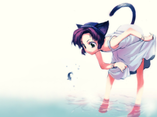 Cat water anime green eyes - its head in free wallpaper