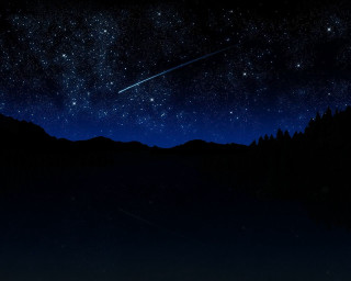 Night sky shooting star forest 2 - a night sky free wallpaper