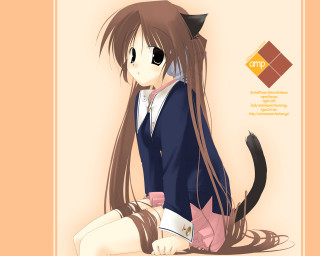 Anime girl cat ears tail 7 - a cat ear free wallpaper