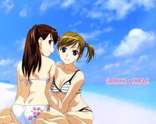 Beach girls bikinis blue sky - a poster free wallpaper