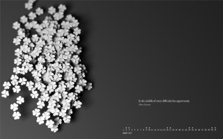 White flowers black background floral - buckminster fuller free wallpaper