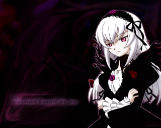Silver rose gothic lolita portrait - a bow free wallpaper