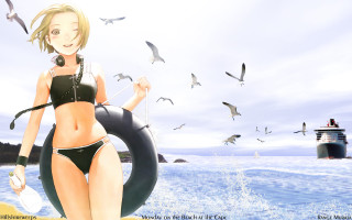 Beach bikini ship birds sotsart - summer free wallpaper for desktop