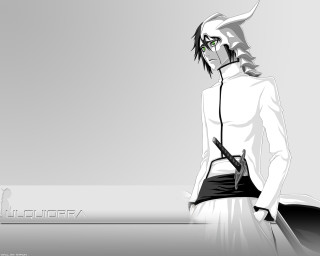 Arrancar solo sword white shirt - background free wallpaper