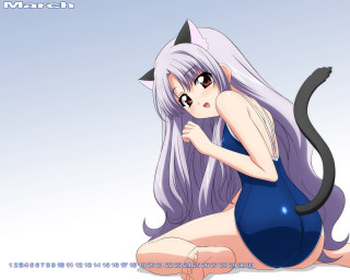 Cartoon catgirl longhair sitting anime - her chest free wallpaper