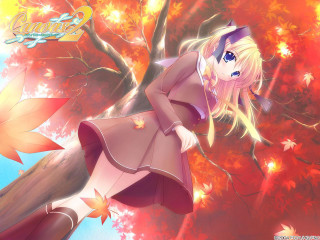Girl dress tree branch leaves - a tree branch in front free wallpaper