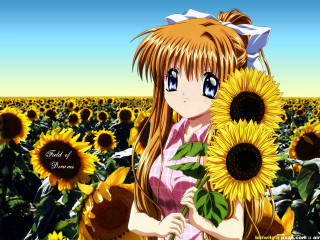 Girl sunflowers field anime bouquet - a field of sunflowers free wallpaper
