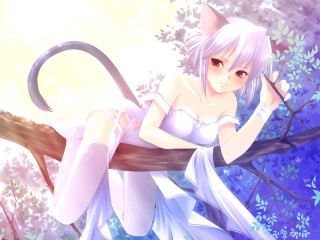 Alice blossoms cat ears sitting - her shoulder free wallpaper