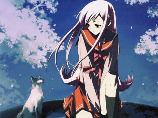 Girl cat hanami spring sky - aguri uchida free wallpaper for desktop
