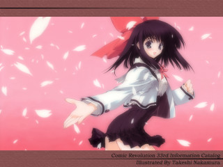 Girl pink feathers cherry blossoms - white feather free wallpaper