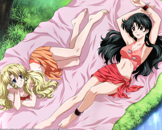 Two anime girls grass lying - a picture free wallpaper
