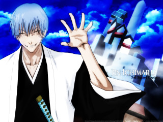 Eizan kikukawa blue hair waving - his hand free wallpaper