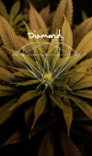 Plant diamonds dark word diamond - diamond free wallpaper