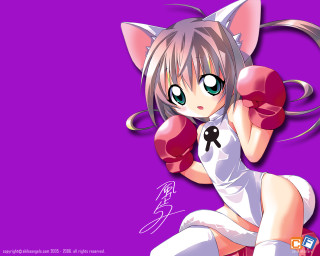 Cat ears boxing gloves anime - boxing free wallpaper