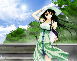 Woman hat dress bird kyoto 2 - a street free wallpaper