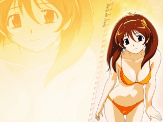 Woman bikini yellow background ruler - a yellow background behind her free wallpaper