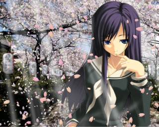 Purple hair woman cherry blossoms - a man in the background free wallpaper