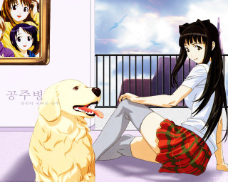 Girl dog bench plaid skirt - a bench next free wallpaper