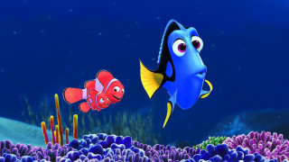 Blue red fish sea coral - pixar and disney animation free wallpaper for desktop