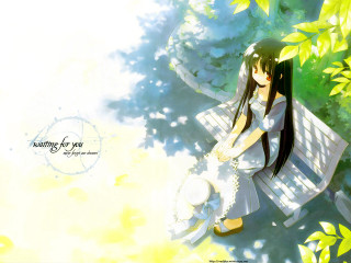 Girl sitting bench woods white - a bench free wallpaper