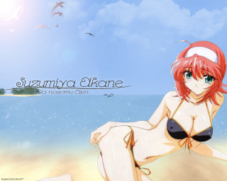 Beach bikini girl seagull summer - above her head free wallpaper