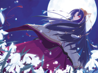 Purple dress field fullmoon snowflakes 2 - a field of flowers free wallpaper