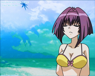 Beach bikini starfish blue sky - a blue sky free wallpaper for desktop
