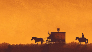 Horses grass cart man horse - a horse free wallpaper