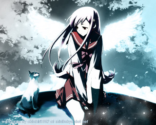 Girl cat night sky wings - the background and a sky free wallpaper