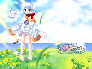 Alice field cat bird sky - a caption in the middle free wallpaper