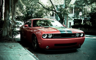 Red car parked street tree - a.d.m. cooper free wallpaper