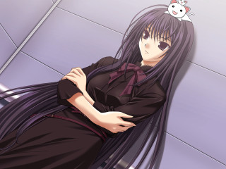 Woman long hair cat bird - her head and a cat free wallpaper