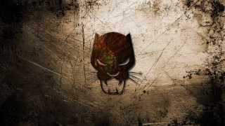 Cat green eyes black nose - a black nose free wallpaper