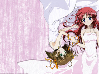 Woman bed pink wall flowers - top of a bed next free wallpaper