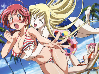 Two women bathing suits palm - two woman free wallpaper