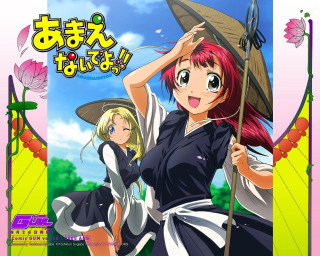 Woman girl broom flower hat - an album cover free wallpaper