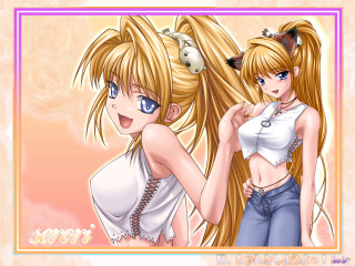 Anime girls ponytailed blueeyes longhair - net art free wallpaper