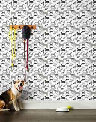 Dog sitting floor wall clock - a wall free wallpaper