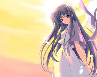 Woman sunlight pinkdress bird anime - a sun free wallpaper