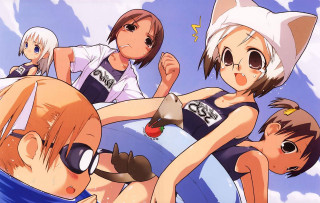 Anime group swimsuits cat ears - an gyeon free wallpaper for desktop