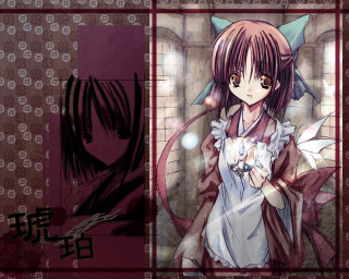 Alice prin girl with cat - holography free wallpaper