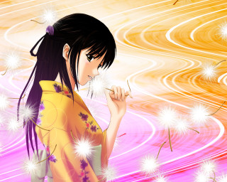 Kimono dandelion anime fireworks sunset - a dandelion free wallpaper