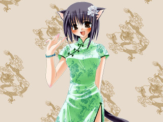 Woman green dress cat dragon - her shoulder free wallpaper