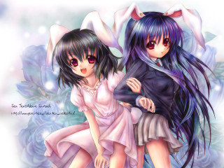 Anime girls cat ears flower - two anime girl free wallpaper