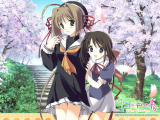Anime girls cherry blossoms spring - a staircase free wallpaper