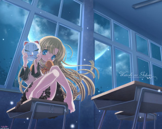 Girl cat sitting window anime - her lap and a cat free wallpaper