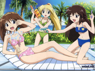 Three girls pool bikini sunscreen - three girl free wallpaper
