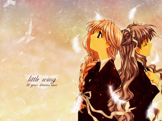 Anime girls longhair birds butterflies - little free wallpaper